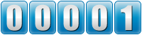 hit counter
